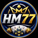 HM77