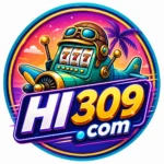 HI309 Game