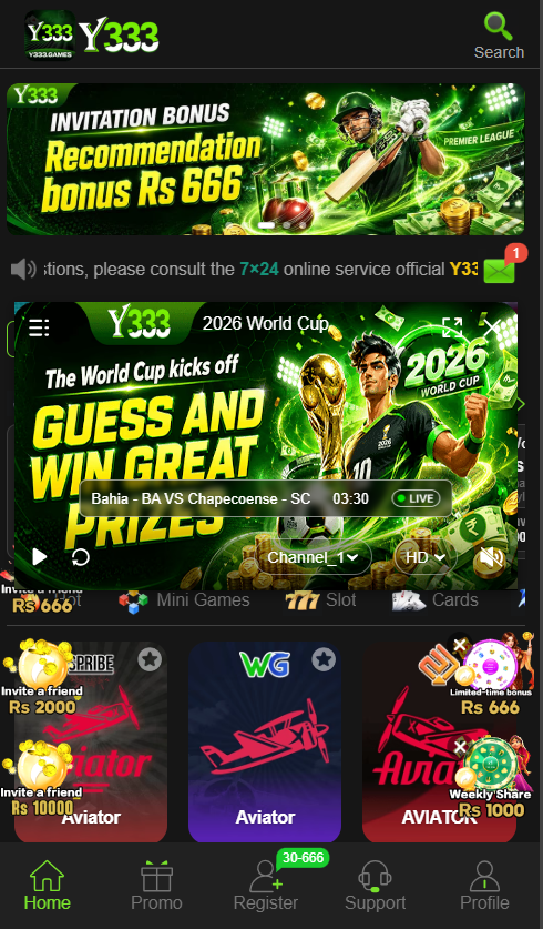 Y333