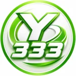 y333